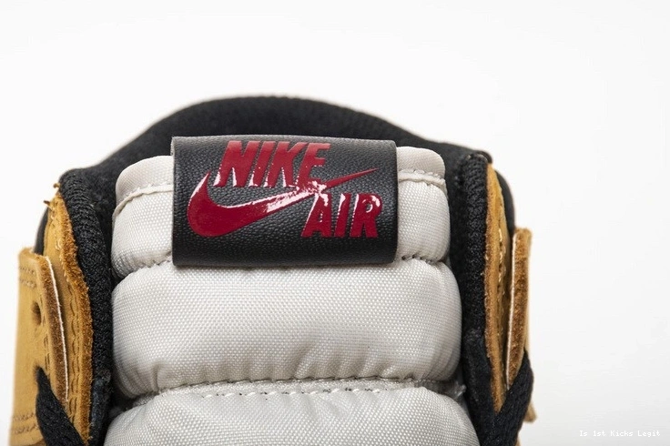 555088-700 of Rookie Year Jordan Air 1 the 0910
